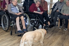 PXL_20251114_093401374