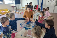 PXL_20251016_122442510