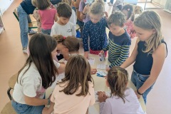 PXL_20251016_122559629