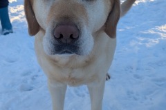 PXL_20260106_085731073