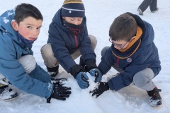 PXL_20260106_085751611