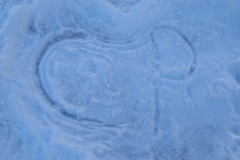 PXL_20260106_092640910