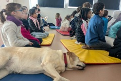 PXL_20260106_123333975